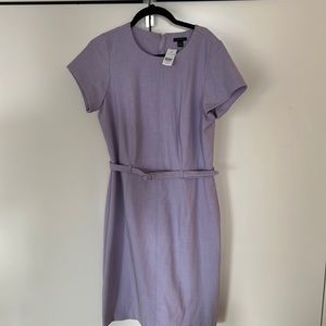 NWT Ann Taylor purple work dress